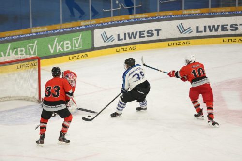 IMG 0239 (1)